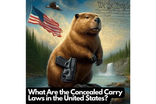 Gun Beaver - At a High Level, What Are the Concealed Carry Laws in the United States?