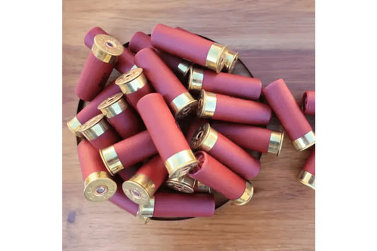 Gun Beaver - Should I Use Buckshot, Slugs, or Birdshot for Home Defense?