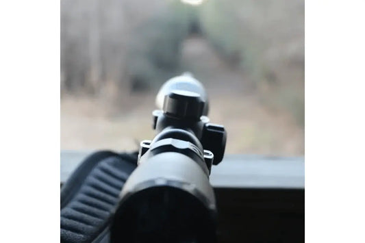 Gun Beaver - What is the Best Caliber for Deer Hunting?