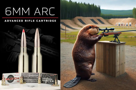 Gun Beaver - 6mm ARC explained