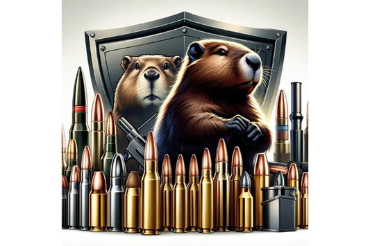 Gun Beaver - Self-Defense Ammo: Best Rounds for Personal Defense, Focusing on Stopping Power and Reliability