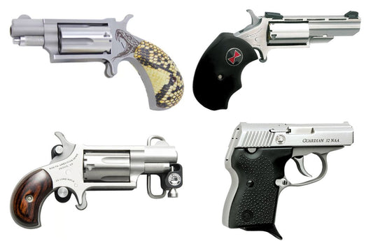 Gun Beaver - Pocket Powerhouse or Last-Ditch Toy? A Highly Opinionated Field Guide to North American Arms Mini-Guns