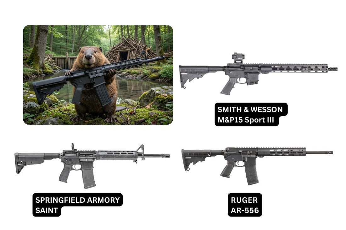 Gun Beaver - Why Choose an AR-15 for Home Defense