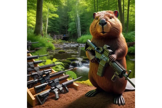 Gun Beaver - Best AR-15s on a Budget