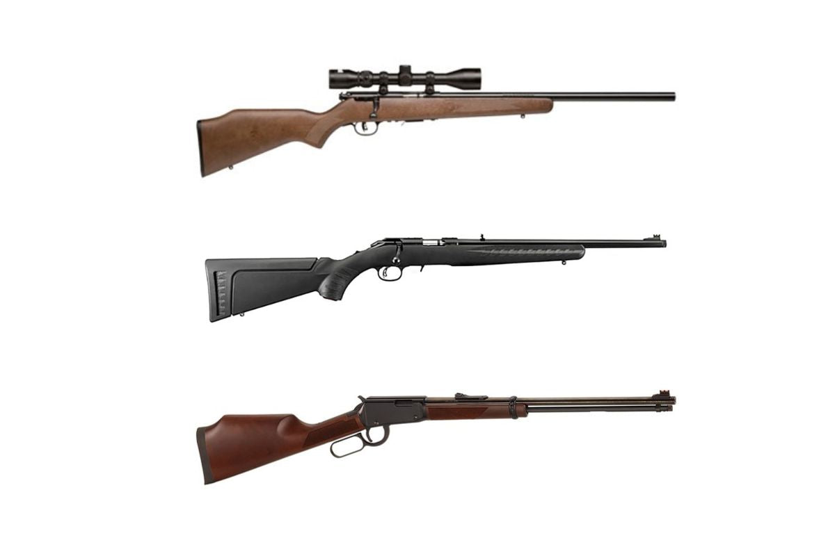 Why the 17 HMR Stands Out: Exploring Its Benefits and Best Uses